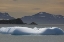 Picture of ANTARCTICA, CHINSTRAP AND GENTOO PENGUINS