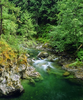 Picture of LITTLE QUALICUM RIVER ON VANCOUVER ISLAND, CANADA