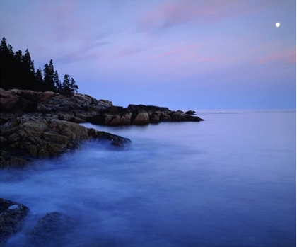 Picture of USA, MAINE ACADIA NP MOONRISE OVER THE ATLANTIC