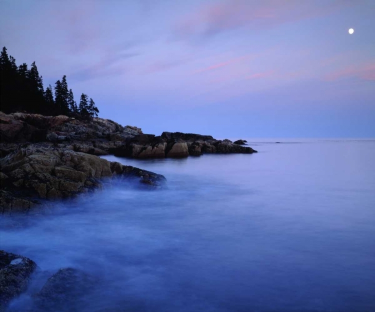 Picture of USA, MAINE ACADIA NP MOONRISE OVER THE ATLANTIC