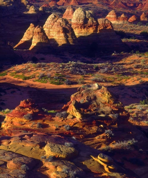 Picture of ARIZONA, SANDSTONE FORMATIONS IN THE PARIA CANYON