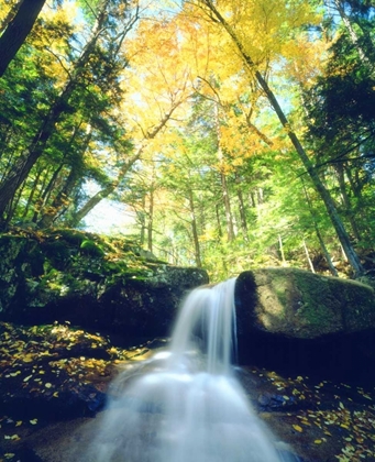 Picture of NEW HAMPSHIRE, A WATERFALL IN THE WHITE MOUNTAINS