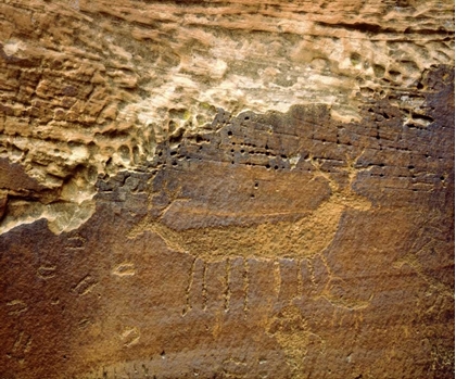 Picture of UTAH PETROGLYPH CARVINGS OF ANIMALS ON ROCK FACE
