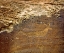 Picture of UTAH PETROGLYPH CARVINGS OF ANIMALS ON ROCK FACE