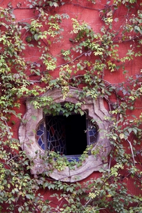 Picture of MEXICO, IVY ON STUCCO WALL WITH TILE WINDOW