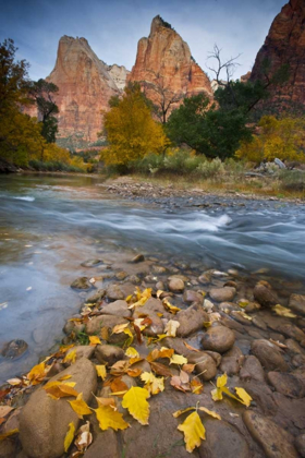 Picture of UT, ZION NP THE SENTINEL AND FALLEN LEAVES