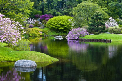 Picture of MAINE, NORTHEAST HARBOR GREEN GARDEN SCENIC