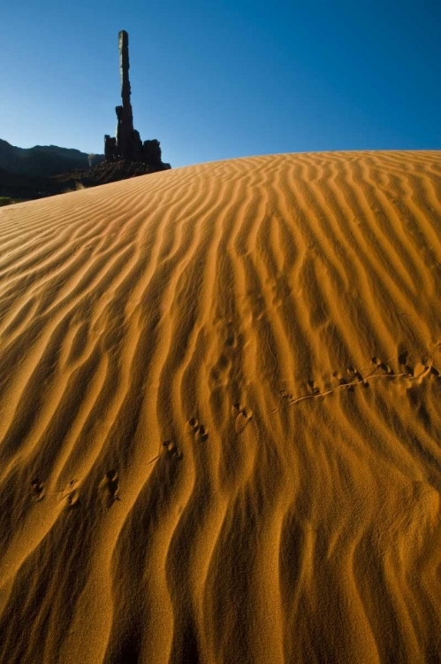 Picture of UTAH, MONUMENT VALLEY TOTEM POLE FORMATIONS