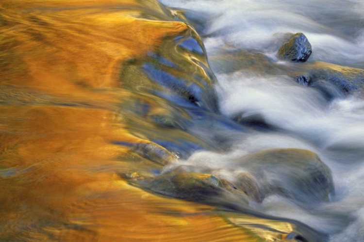 Picture of NORTHEAST, FALL REFLECTIONS ON STREAM RAPIDS