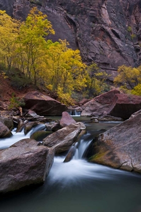 Picture of UT, ZION NP WATERFALL WITH COTTONWOOD TREES