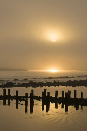 Picture of OREGON FOGGY SUNRISE ON BANDON BEACH PILINGS