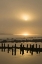 Picture of OREGON FOGGY SUNRISE ON BANDON BEACH PILINGS