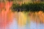 Picture of ME, SOUTH PARIS GRASSES GROWING IN WATER IN FALL