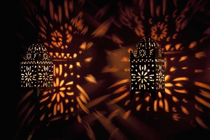 Picture of SHADOW PATTERNS FROM LANTERNS, ETOSHA NP, NAMIBIA