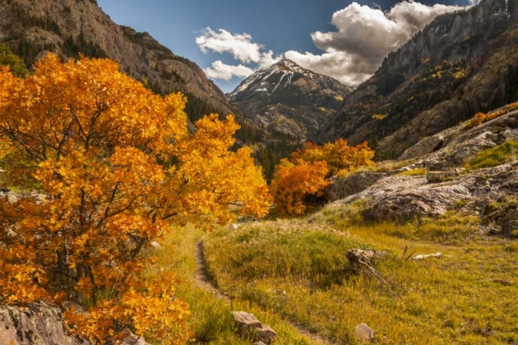 Picture of COLORADO AUTUMN LANDSCAPE IN SAN JUAN MOUNTAINS