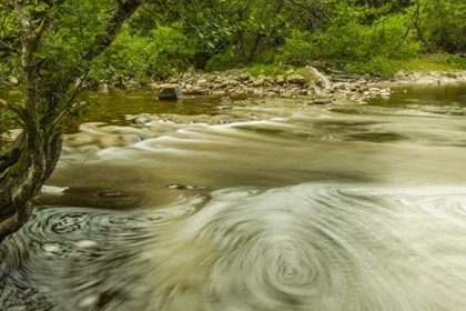 Picture of SCOTLAND, CAIRNGORM NP SWIRLING WATER IN STREAM