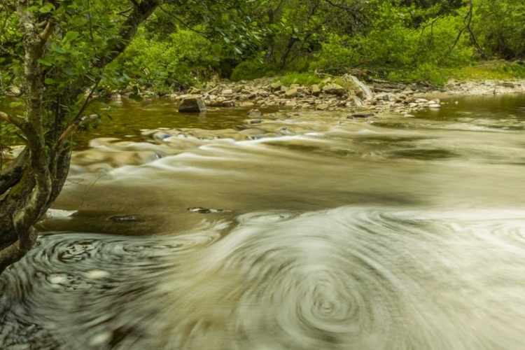 Picture of SCOTLAND, CAIRNGORM NP SWIRLING WATER IN STREAM