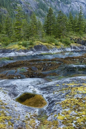 Picture of ALASKA, TONGASS NF SCENIC VIEW OF FORDS TERROR