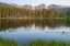 Picture of COLORADO, ROCKY MOUNTAINS DUCKS ON SPRAGUE LAKE