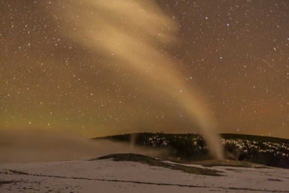 Picture of WYOMING, YELLOWSTONE OLD FAITHFUL GEYSER, NIGHT