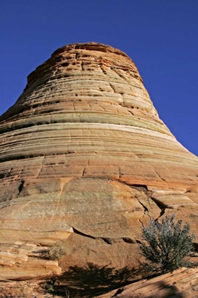 Picture of UTAH, ZION NP, CHECKERBOARD MESA ROCK FORMATION