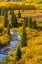Picture of CO, GUNNISON NF AUTUMN COLOR AND THE EAST RIVER