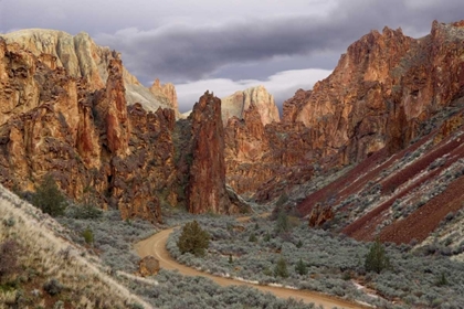 Picture of USA, OREGON VIEW OF LESLIE GULCH