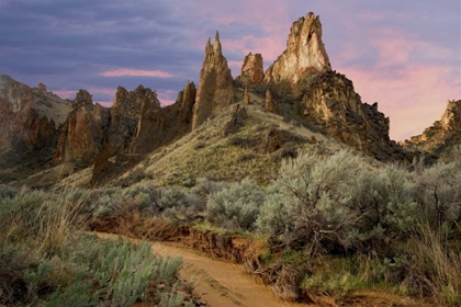 Picture of USA, OREGON VIEW OF LESLIE GULCH