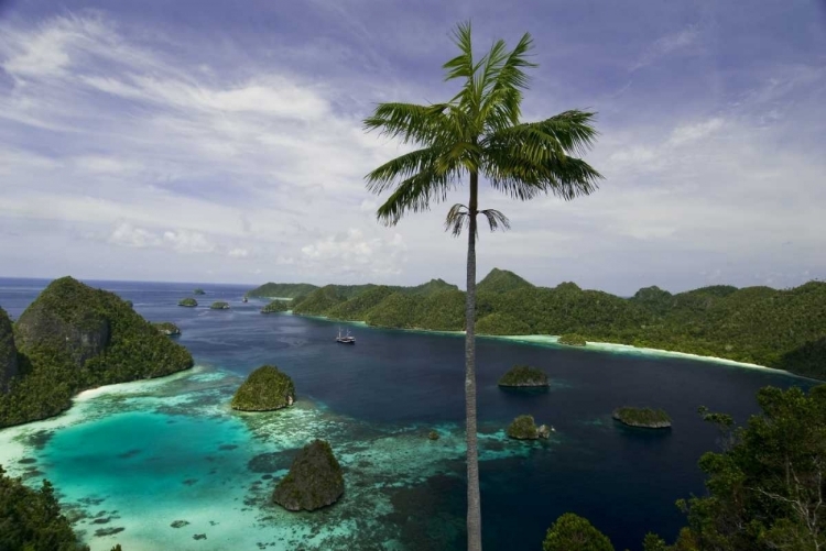 Picture of PHINISI SCHOONER, NEW GUINEA ISLAND, INDONESIA