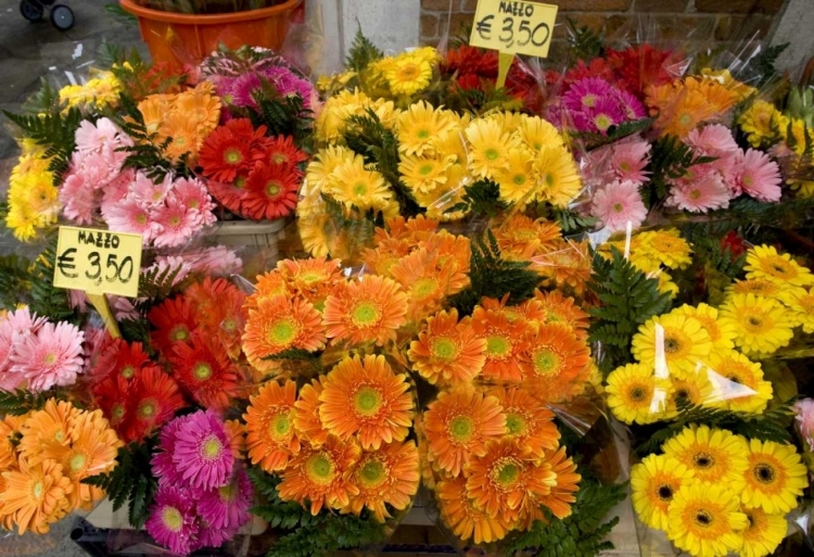 Picture of ITALY, VENICE FLOWERS FOR SALE IN A MARKET