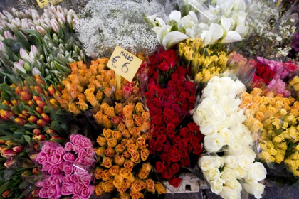 Picture of ITALY, VENICE FLOWERS FOR SALE IN A MARKET