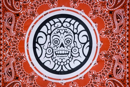 Picture of ARIZONA, PHOENIX BANDANA WITH SKULL DESIGN