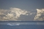 Picture of ANTARCTICA, GENTOO PENGUINS ON AN ICEBERG