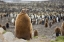 Picture of ANTARCTICA, ST ANDREWS BAY KING PENGUIN CHICK