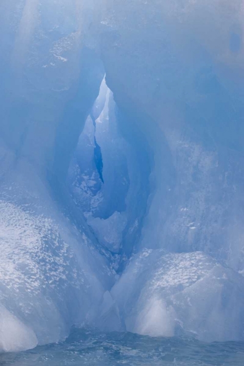 Picture of ANTARCTICA, SOUTH SHETLAND A VIVID BLUE ICEBERG