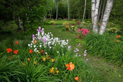 Picture of CANADA, NEW BRUNSWICK GARDEN SCENIC