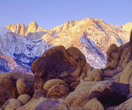 Picture of CALIFORNIA, SIERRA NEVADA MT WHITNEY AT SUNRISE