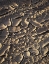 Picture of CALIFORNIA, ANZA-BORREGO PATTERNS OF CRACKED MUD