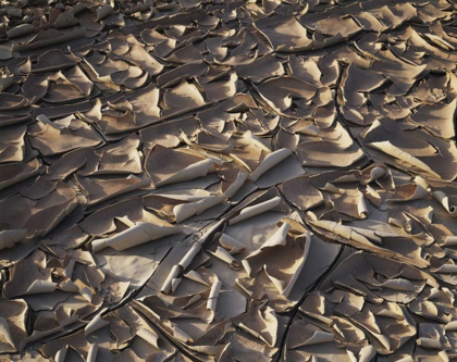 Picture of CALIFORNIA, ANZA-BORREGO PATTERNS OF CRACKED MUD