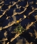 Picture of CA, ANZA-BORREGO DESERT SUNFLOWER IN CRACKED MUD