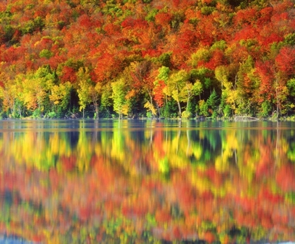 Picture of NY, ADIRONDACK MTS AUTUMN REFLECTS IN HEART LAKE