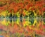 Picture of NY, ADIRONDACK MTS AUTUMN REFLECTS IN HEART LAKE