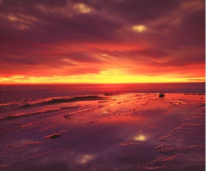 Picture of CA, SAN DIEGO, SUNSET CLIFFS TIDE POOLS AT SUNSET