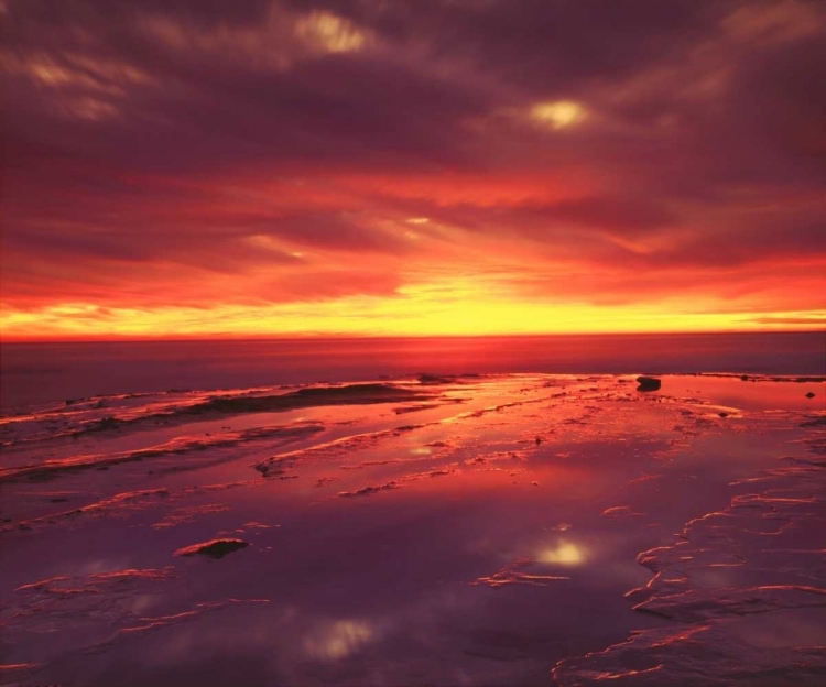 Picture of CA, SAN DIEGO, SUNSET CLIFFS TIDE POOLS AT SUNSET