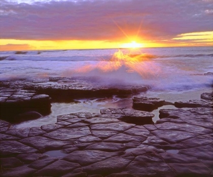 Picture of CA, SAN DIEGO, SUNSET CLIFFS TIDE POOLS AT SUNSET