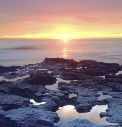 Picture of CA, SAN DIEGO SUNSET CLIFFS TIDE POOLS AT SUNSET