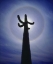 Picture of AZ, ORGAN PIPE CACTUS SAGUARO CACTUS WITH A HALO