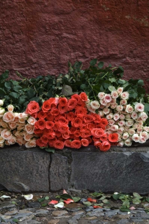 Picture of MEXICO, SAN MIGUEL DE ALLENDE, ROSES FOR SALE