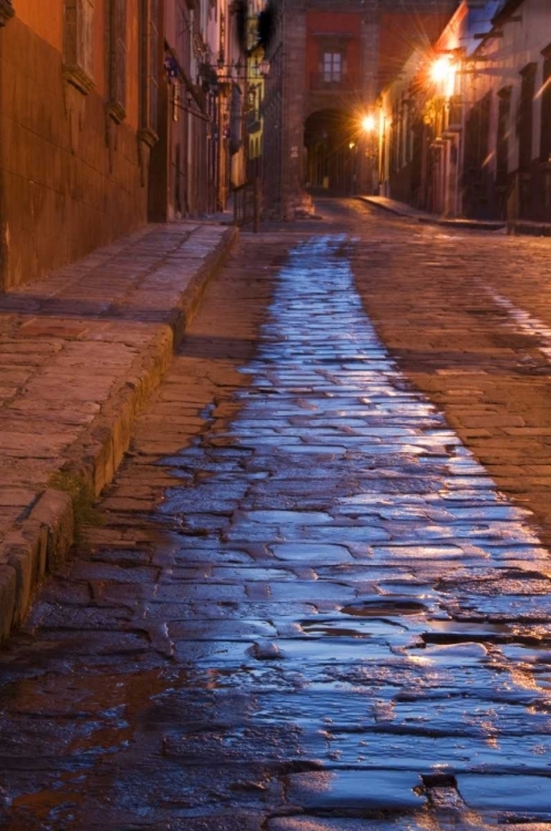 Picture of MEXICO STREAK OF WATER ON COBBLESTONE STREET