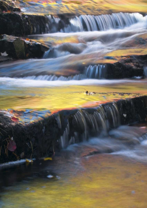 Picture of MAINE, ACADIA NP AUTUMN REFLECTIONS IN STREAM